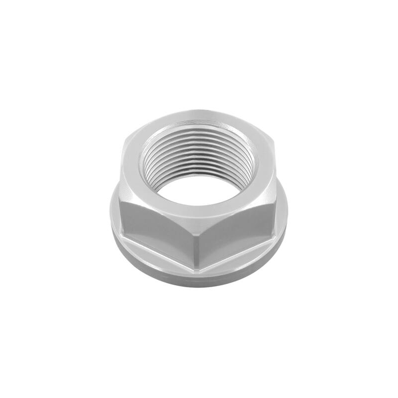 Dado Speciale 24 X 1,50 Ergal per Honda, Kawasaki, Yamaha, Bmw Argento