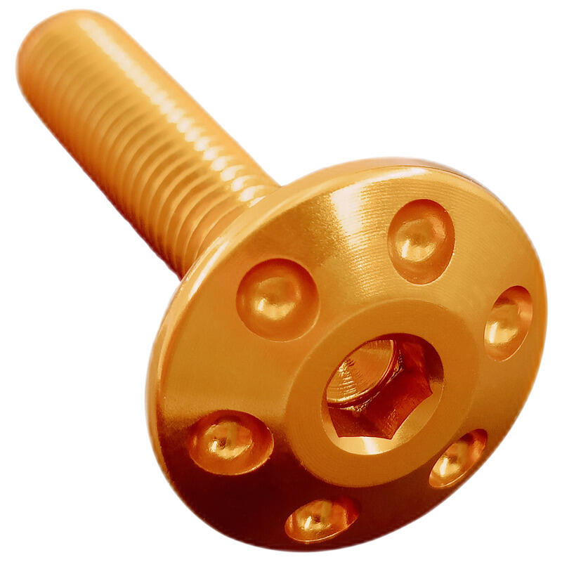 Vite Forata M5 X 20 Oro