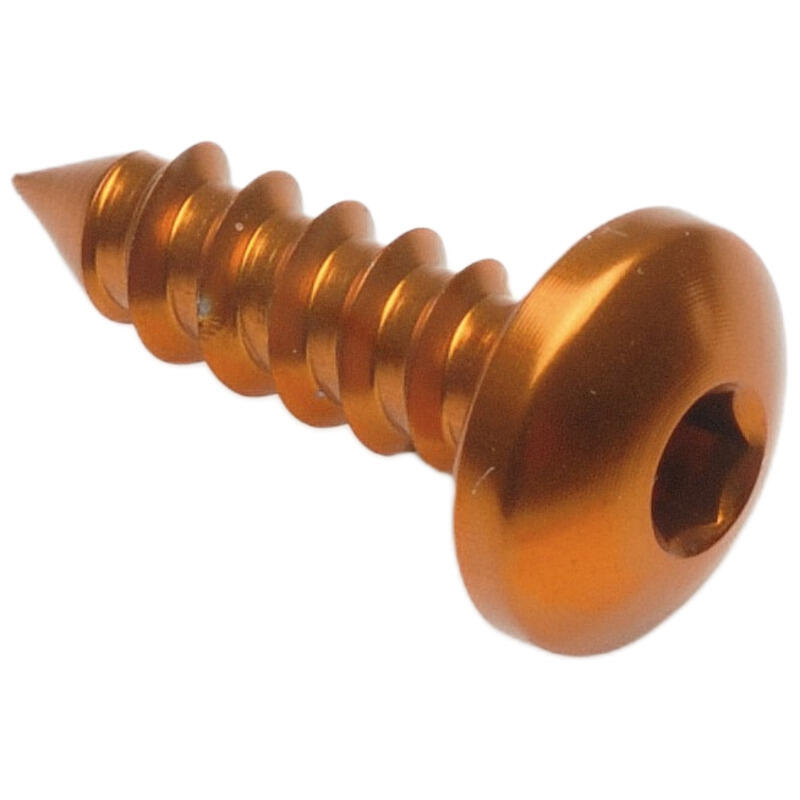 Self Tapping Screw 002 D=5,5x19 Ergal Oro