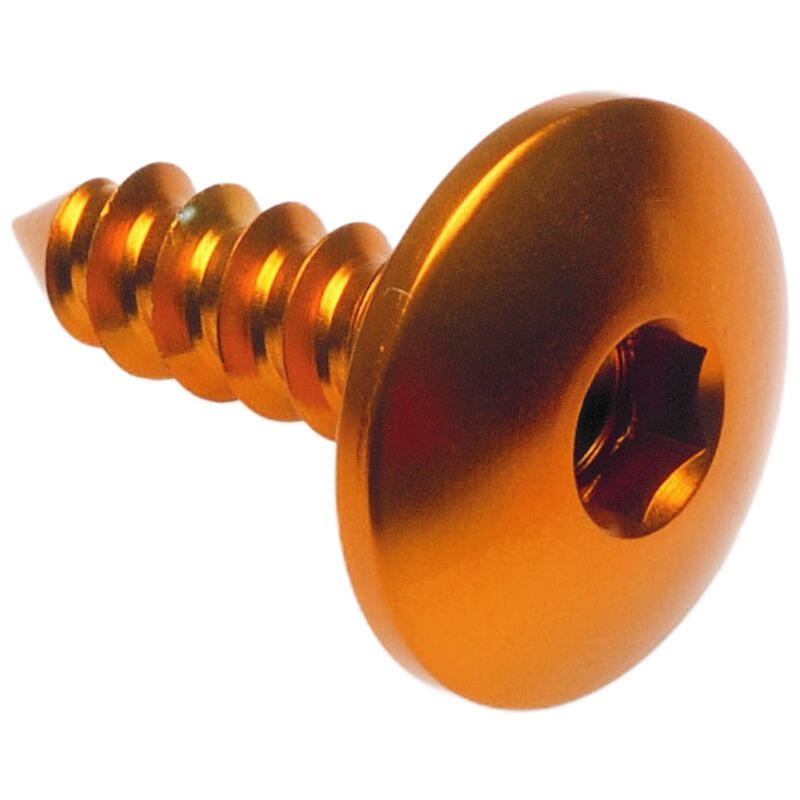 Self Tapping Screw 003 D=5,5x19 Ergal Oro