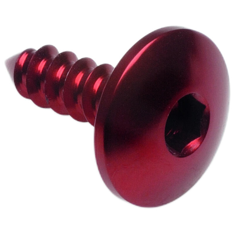 Self Tapping Screw 003 D=5,5x19 Ergal Rosso