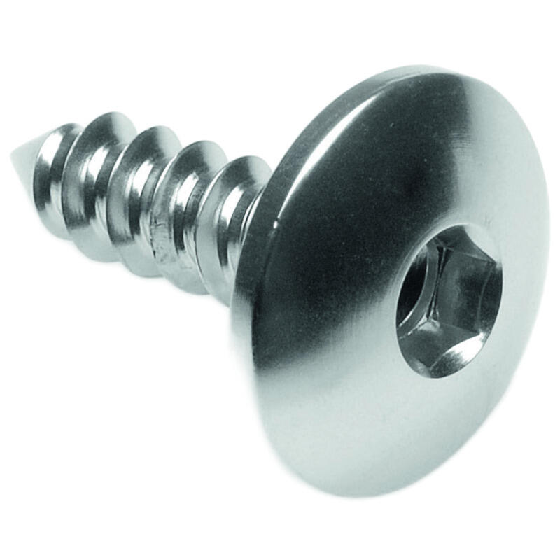 Self Tapping Screw 003 D=5,5x19 Ergal Argento